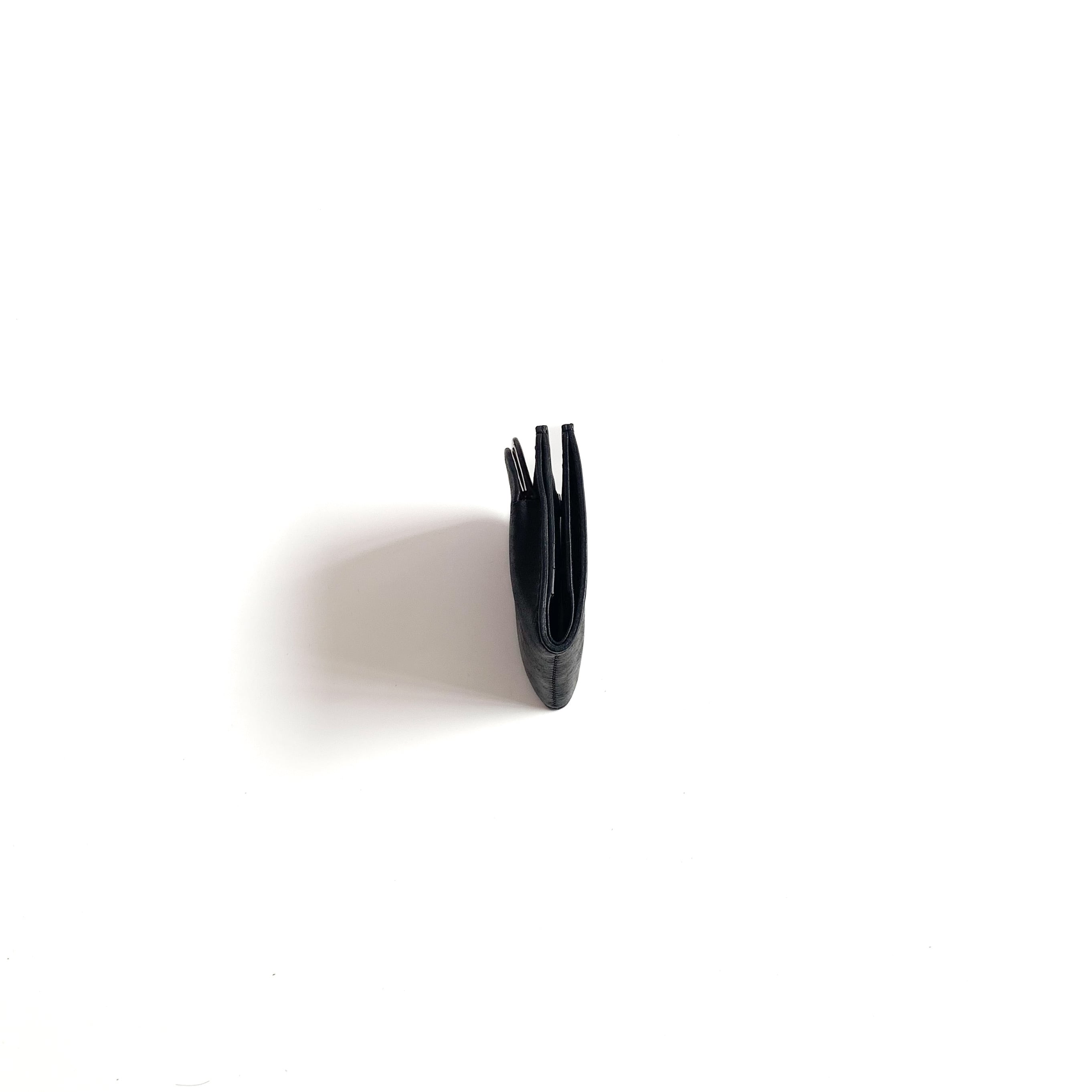 chroi's wallet / black mouth