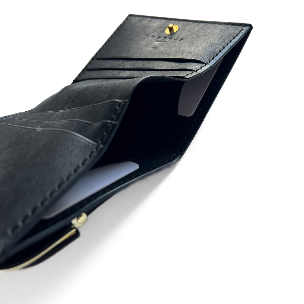 chroi’s wallet / gold mouth