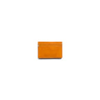 visible card case
