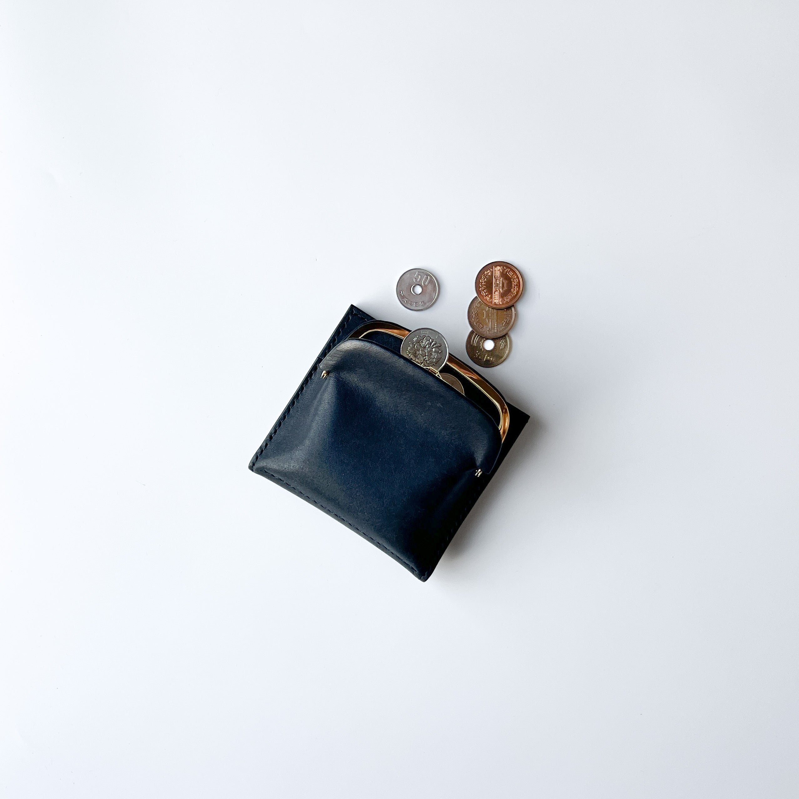 chroi’s wallet / gold mouth