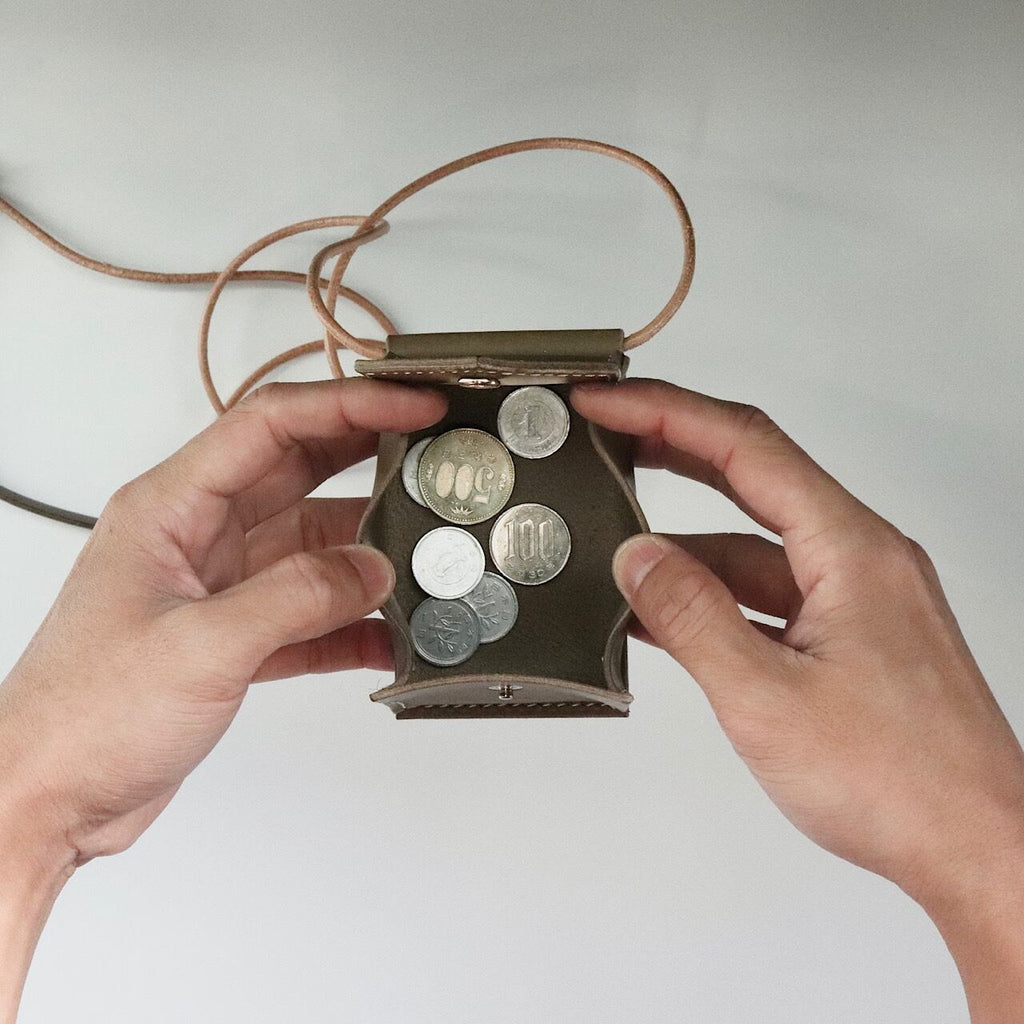 hang coin case