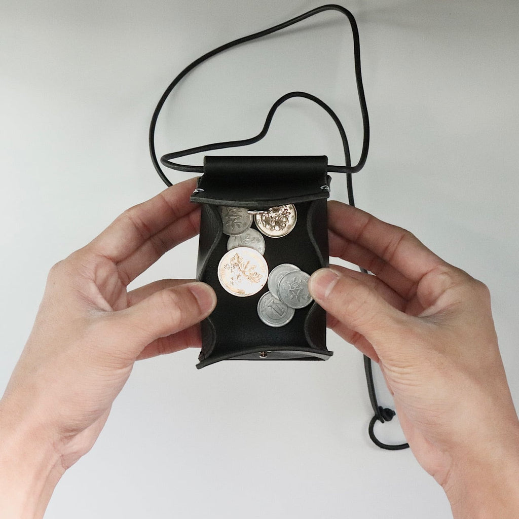 hang coin case